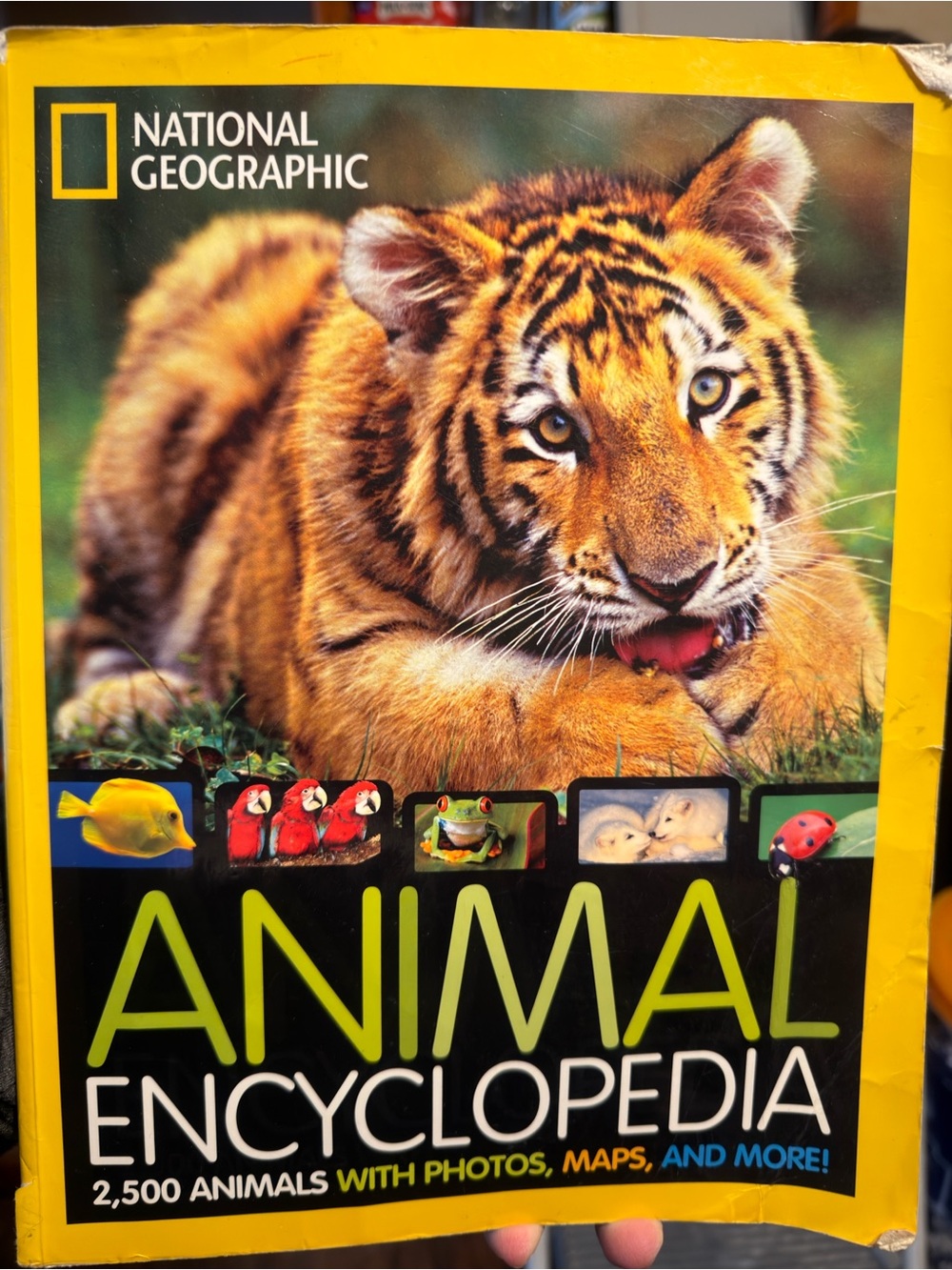National Geographic Animal Encyclopedia - Orange Cover